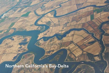 Northern California's Bay Delta